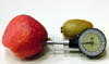 Pénétromètre pour fruits